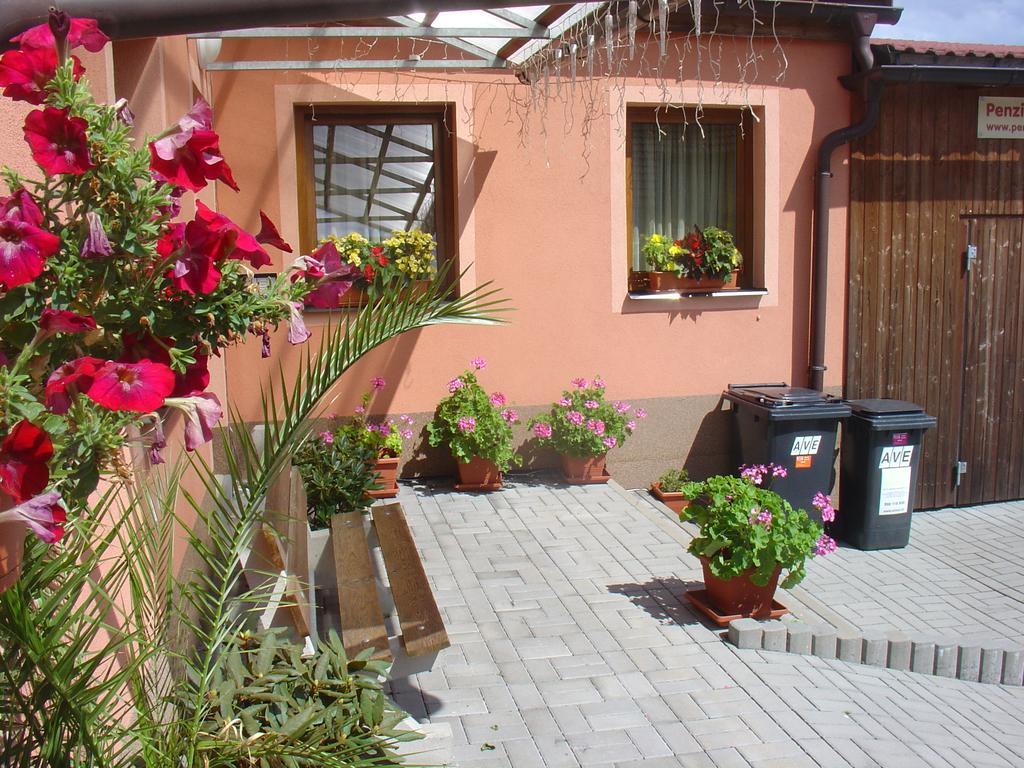 Wellness Penzion Palice Jindřichŭv Hradec Dış mekan fotoğraf